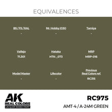 Load image into Gallery viewer, AK Interactive RC975 Real Colors AMT-4 / A-24M Green 17ml
