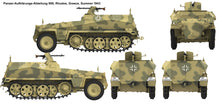 Load image into Gallery viewer, Das Werk 1/16 German SdKfz 250/1 Ausf.A DW16018'