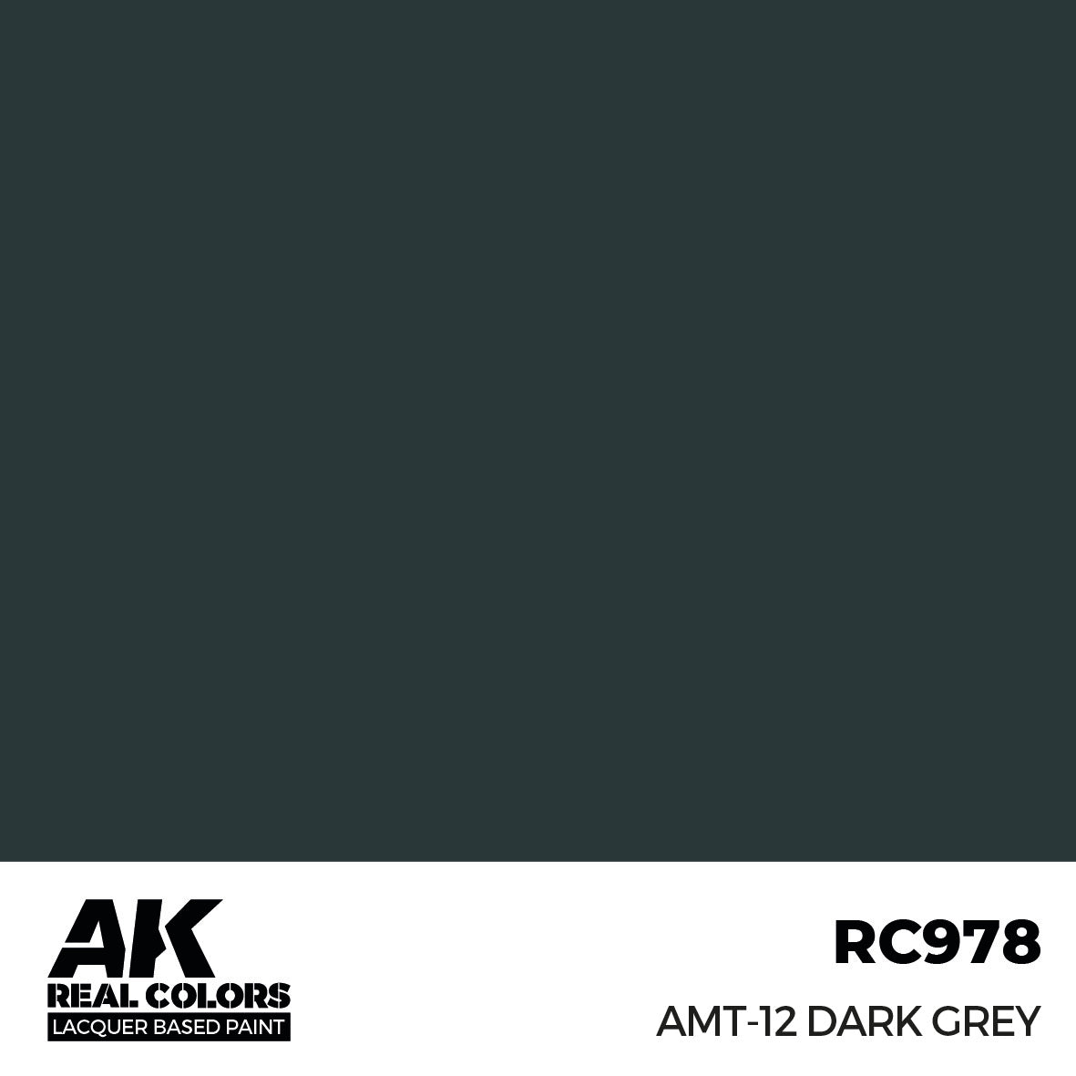 AK Interactive RC978 Real Colors AMT-12 Dark Grey 17ml – Burbank's