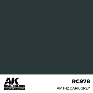 AK Interactive RC978 Real Colors AMT-12 Dark Grey 17ml