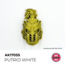 Load image into Gallery viewer, AK Interactive AK17055 Quick Gen Acrylic Putrid White 18 ml