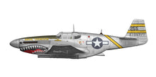 Load image into Gallery viewer, Arma Hobby 1/72 US P-51B Mustang China/Burma/India 70075