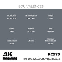 Load image into Gallery viewer, AK Interactive RC970 Real Colors RAF Dark Sea Grey BS381C/638 17ml