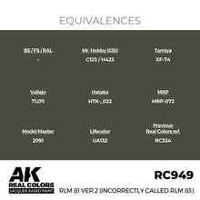 Load image into Gallery viewer, AK Interactive RC949 Real Colors RLM 81 Ver.2 (incorrectly called RLM 83) 17ml