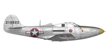 Load image into Gallery viewer, Arma Hobby 1/48 US P-39 Airacobra Recon 40013