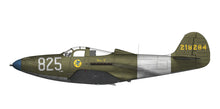 Load image into Gallery viewer, Arma Hobby 1/48 US P-39 Airacobra Recon 40013