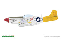 Load image into Gallery viewer, Eduard 1/72 US P-51D Mustang ProfiPACK 70173