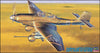 Hasegawa 1/48 WWII German Junkers Ju87G-3 "Anti Tank Attacker" Open Box 09054C