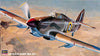 Hasegawa 1/48 WWII British Hurricane Mk. IID Open Box 09052C