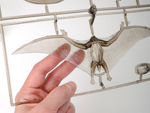 Load image into Gallery viewer, Tamiya 1/35 Pteranodon Dinosaur 60204'
