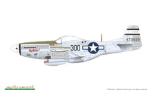 Load image into Gallery viewer, Eduard 1/72 US P-51D Mustang "Tales of Iwo Jima" Limited Edition Dual Combo 2152