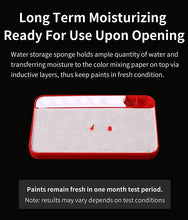Load image into Gallery viewer, Dspiae MP-01-PRO Poseidon Moisturizing Color Mixing Box for Acrylic Paints'