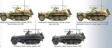 Load image into Gallery viewer, Das Werk 1/16 German Sd.Kfz. 250/3 Ausf. A Rommel's Halftrack GREIF DW16019'