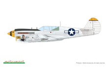 Load image into Gallery viewer, Eduard 1/48 US P-40N Warhawk Royal Class Dual Combo Limited Edition R0025