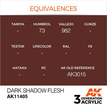 Load image into Gallery viewer, AK Interactive AK11405 Acrylic 3G Figure Dark Shadow Flesh 17ml