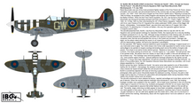 Load image into Gallery viewer, IBG 1/72 Spitfire MkVb Northwest Europe 1941-44 Black Box (2 Kits) 72591'