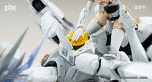 Load image into Gallery viewer, Souling Toy Hemoxian Daytime Meteor Model Kit ST001