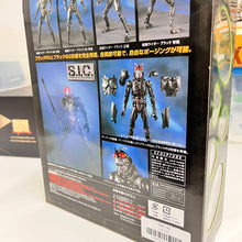 Load image into Gallery viewer, Bandai 1/10 S.I.C. Masked Rider Black RX &amp; Black Vol.16 76723