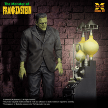 Load image into Gallery viewer, X-Plus 1/8 Frankenstein's Monster XPL-30 COMING SOON