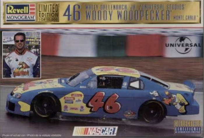 Revell 1/25 Wally Dallenbach Jr No46 Woody Woodpecker Monte Carlo