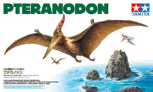 Load image into Gallery viewer, Tamiya 1/35 Pteranodon Dinosaur 60204'