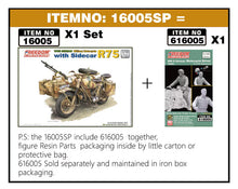 Load image into Gallery viewer, Freedom 1/16 German SR75 Motorcycle w/ Sidecar w/ Driver FIgure 16005SP