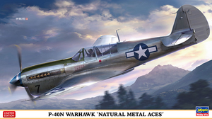 Hasegawa 1/48 P-40N Warhawk 'Natural Metal Aces' Propeller Plane 07516