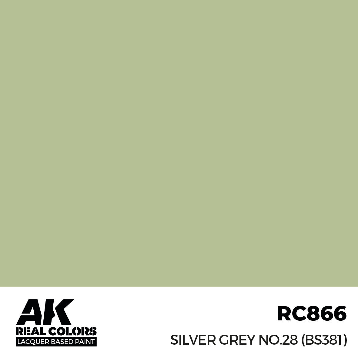 AK Interactive RC866 Real Colors Silver Grey No.28 (BS381) 17ml