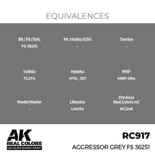 Load image into Gallery viewer, AK Interactive RC917 Real Colors Aggressor Grey FS 36251 17ml