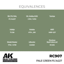 Load image into Gallery viewer, AK Interactive RC907 Real Colors Pale Green FS 34227 17ml