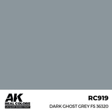 Load image into Gallery viewer, AK Interactive RC919 Real Colors Dark Ghost Grey FS 36320 17ml