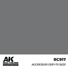 Load image into Gallery viewer, AK Interactive RC917 Real Colors Aggressor Grey FS 36251 17ml