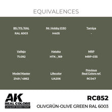 Load image into Gallery viewer, AK Interactive RC852 Real Colors Olivgrün-Olive Green RAL 6003 17ml