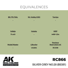 Load image into Gallery viewer, AK Interactive RC866 Real Colors Silver Grey No.28 (BS381) 17ml