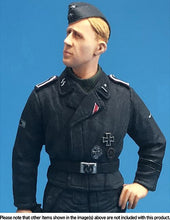 Load image into Gallery viewer, Passion Models German Waffen-SS Insignia Decals P35D-008