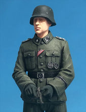 Load image into Gallery viewer, Passion Models German Waffen-SS Insignia Decals P35D-008