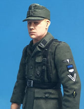 Load image into Gallery viewer, Passion Models German Waffen-SS Insignia Decals P35D-008