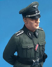 Load image into Gallery viewer, Passion Models German Waffen-SS Insignia Decals P35D-008