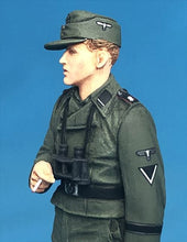 Load image into Gallery viewer, Passion Models German Waffen-SS Insignia Decals P35D-008