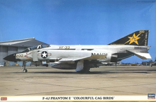 Load image into Gallery viewer, Hasegawa 1/48 US F-4J Phantom II "Colorful CAG Birds" OPEN BOX 09778C