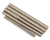 Shesto Modelcraft Collection Magnet Assortment (200) PTM0200
