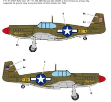 Load image into Gallery viewer, Academy 1/48 US P-51 North Africa 12338