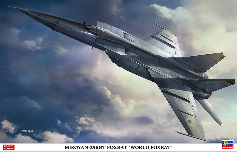 Hasegawa 1/48 Russian Mig 25 RBT Fox Bat 