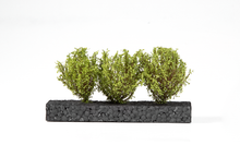 Load image into Gallery viewer, AK Interactive AK8216 Light Green Bushes 4-6 cm