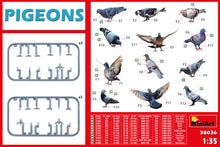 Load image into Gallery viewer, MiniArt 1/35 Pigeons 38036