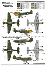 Load image into Gallery viewer, Trumpeter 1/32 US P-40E Warhawk 02269