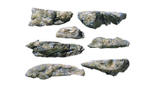 Load image into Gallery viewer, Woodland Scenics C1233 Embankments Rock Mold 5"x 7"