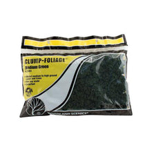 Load image into Gallery viewer, Woodland Scenics FC684 Clump Foliage Dark Green