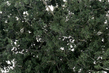 Load image into Gallery viewer, Woodland Scenics F1130 Fine-Leaf Foliage Dark Green