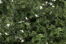 Load image into Gallery viewer, Woodland Scenics F1131 Fine-Leaf Foliage Medium Green